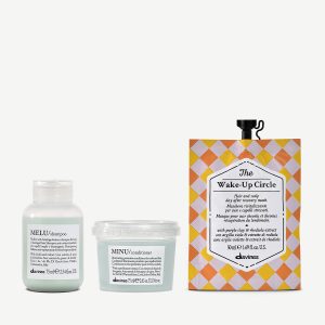 Colored Hair Travel Set